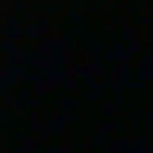 Meet your Posher, Thang